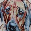 Stevige kaki kleurige kussens van Gobelin stof met hond-Rhodesian Ridgeback- laatste - Afbeelding 2