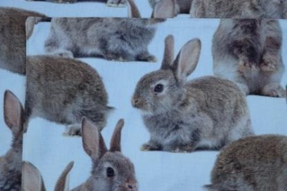 Stoffen placemats met "echte" konijnen - Afbeelding 2